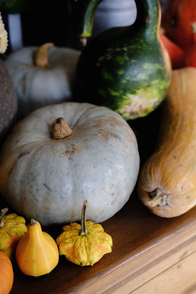 Gourds